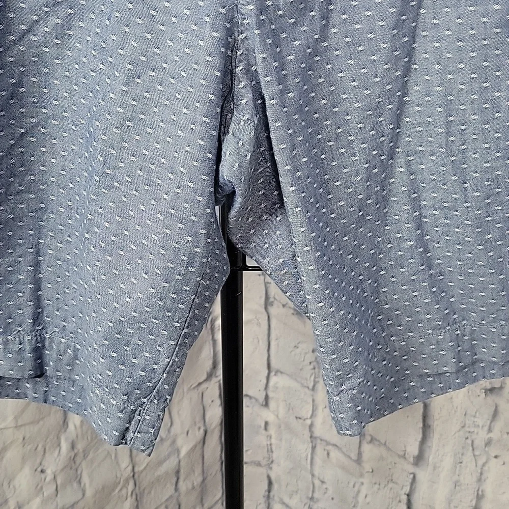 Banana Republic Blue Patterned Men's Flat Front Shorts‎